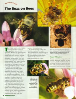 ASPCA's Wild Neighbor News